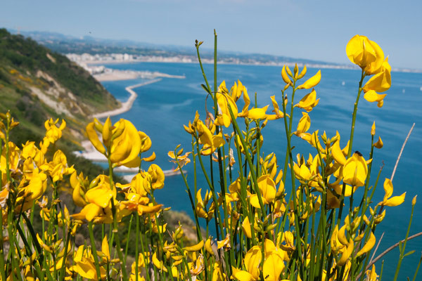 Baia Vallugola, una piccola oasi nella natura